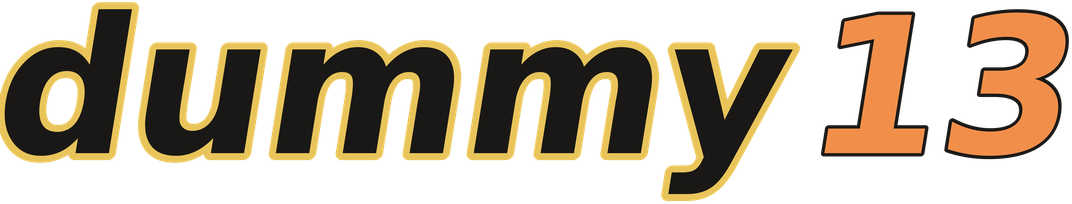 dummy13 logo